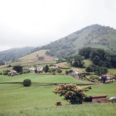 Barberaenea